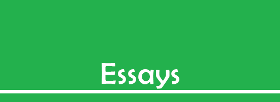 Englisharp: Essays